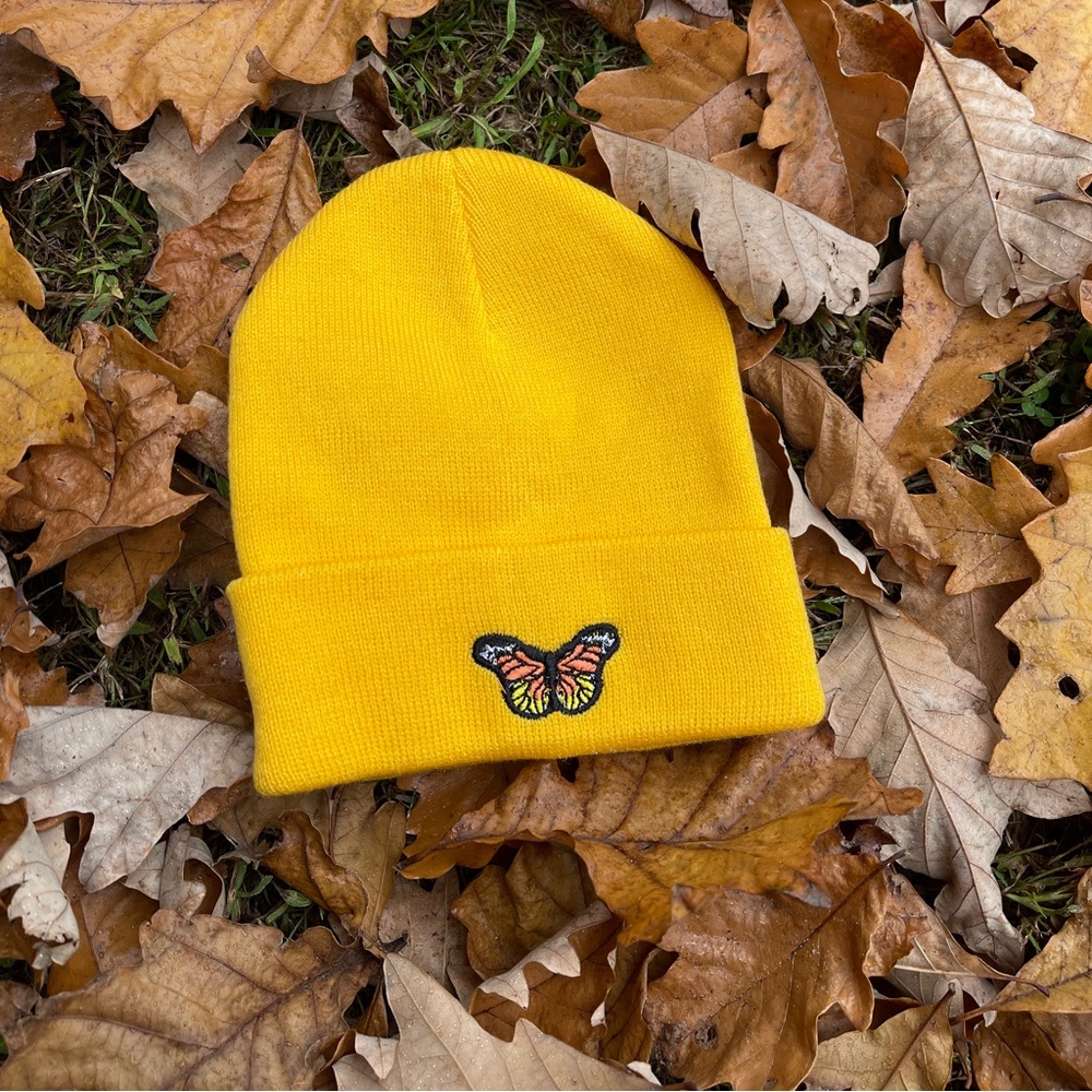 Hat ,beaine,